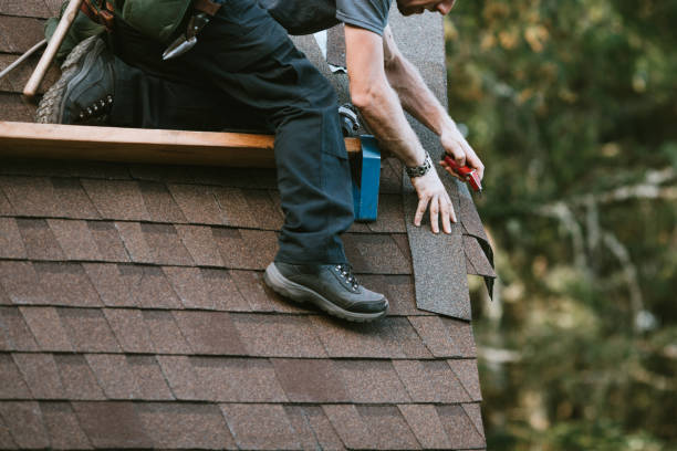 Best Roof Gutter Cleaning  in Arizona City, AZ